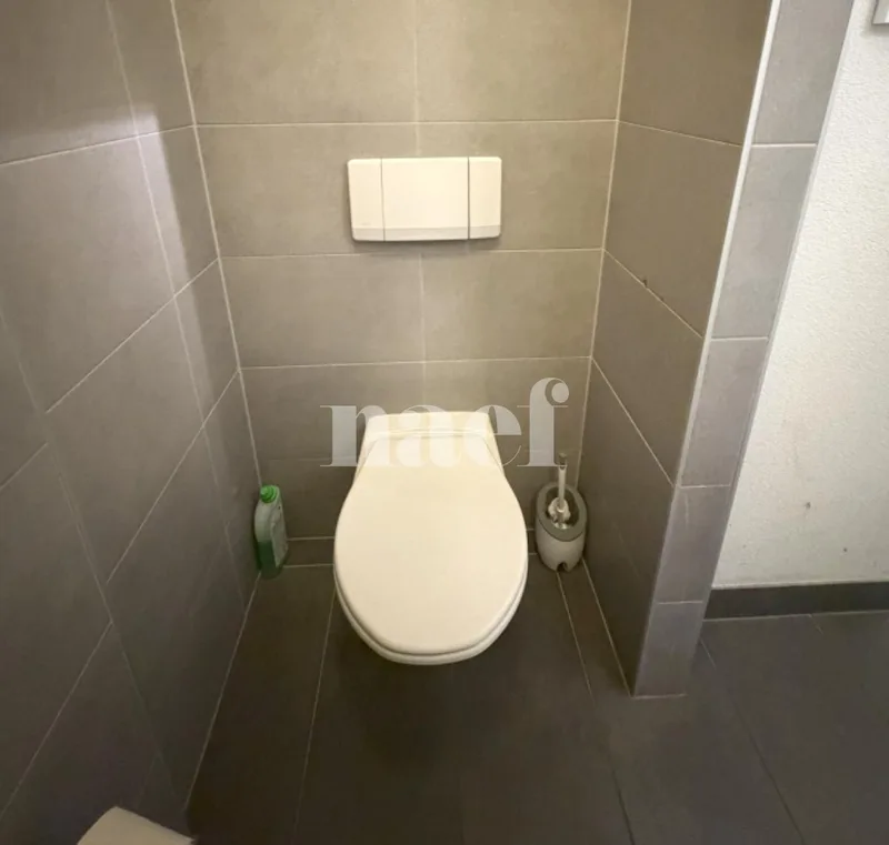 Commercial in Carouge — 9