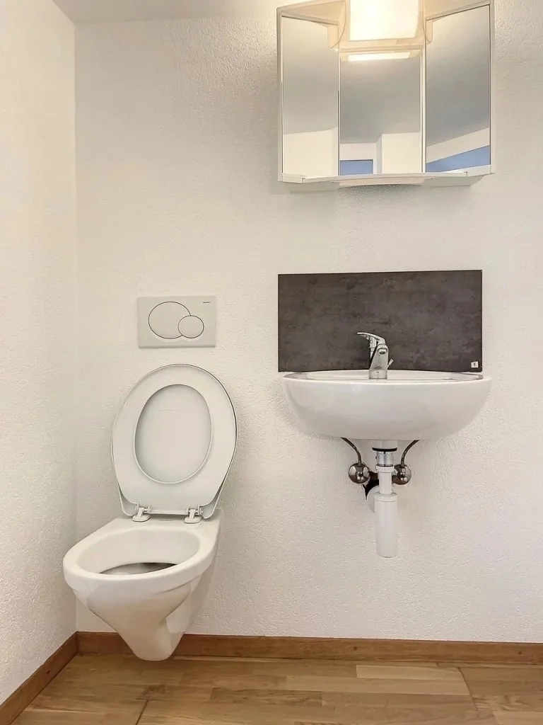 Appartement 1.5 pièces à Bourg-aux-Favres — photo 5
