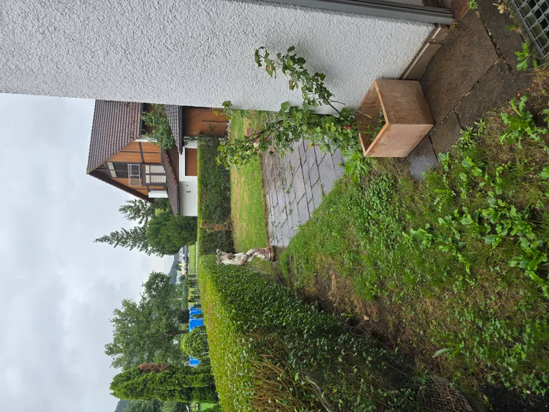 Maison / Villa 8.5 pièces à Würenlingen — photo 14