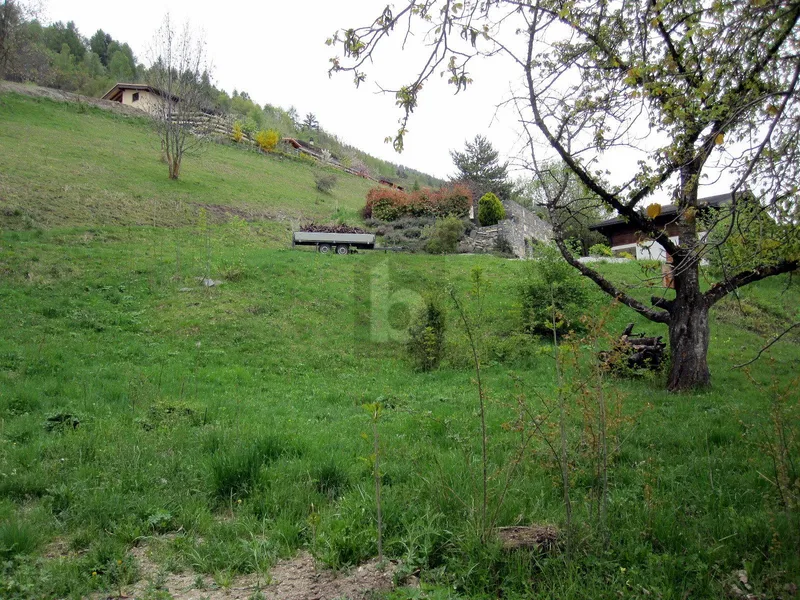 Land in Sion — 2