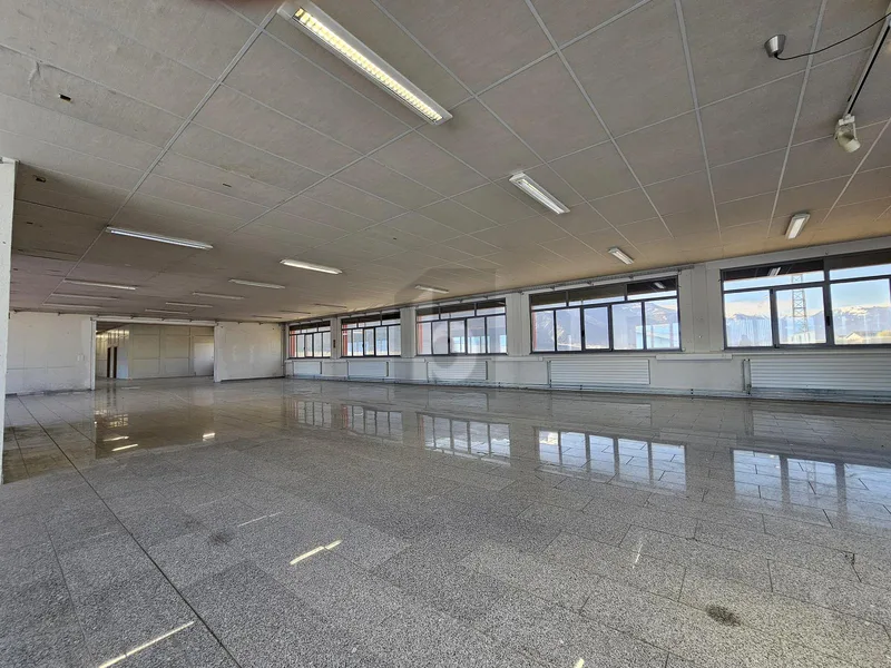 Gewerbe 2 Zimmer in Chamoson
