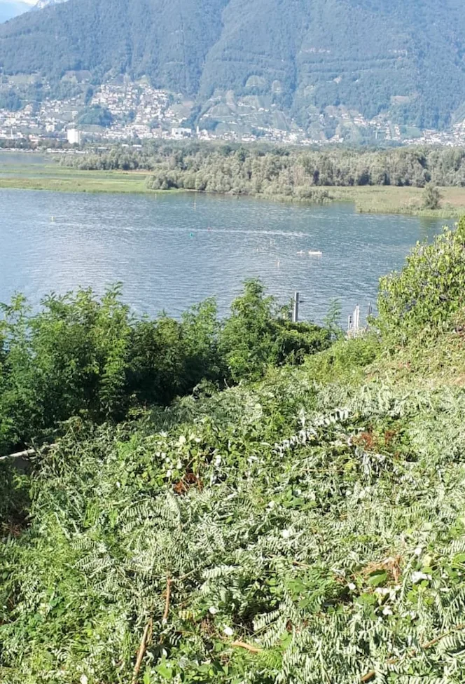 Land in Locarno District — 3