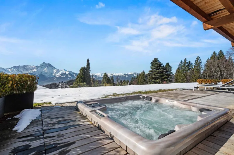 Maison / Villa 9 pièces à quartier résidentiel des Frasses à Gryon-Barboleuse — 3