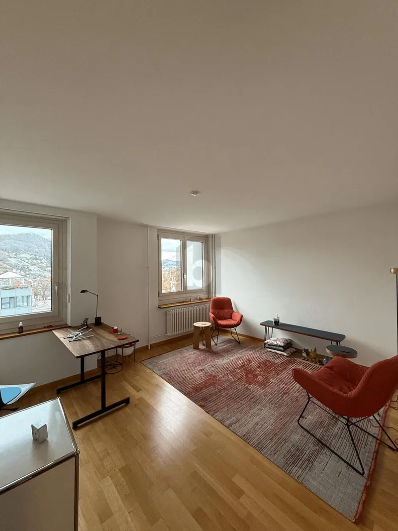 Gewerbe 4 Zimmer in Baden — photo 2