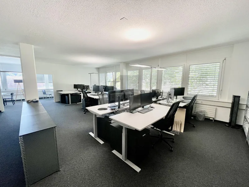 Gewerbe 5 Zimmer in Echandens — photo 4