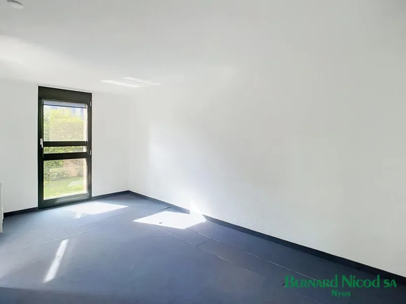 Commercial in Nyon — photo 3