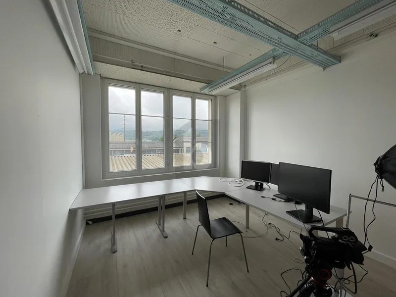 Commercial 10 rooms in Däniken