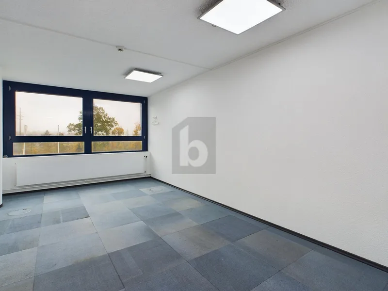 Commercial 6 rooms in Zuchwil — 3