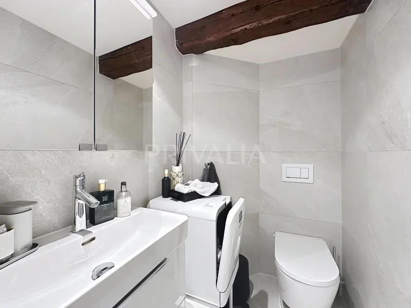Commercial in Quais Rive Droite — 5