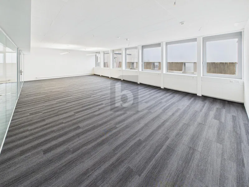 Commercial 1 rooms in zentral