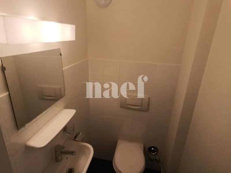 Wohnung 3 Zimmer in Carouge — 7