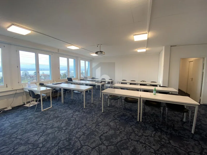 Commercial 1 rooms in Freienbach