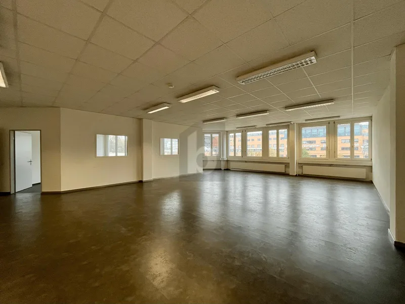 Gewerbe 9 Zimmer in Schlieren — photo 3