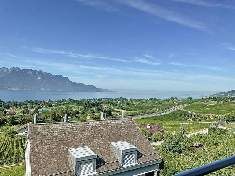 Maison / Villa 5.5 pièces à Montreux — 9