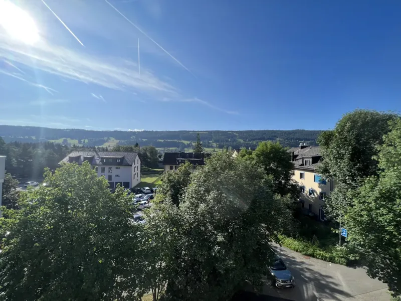 Commercial in Le Chenit
