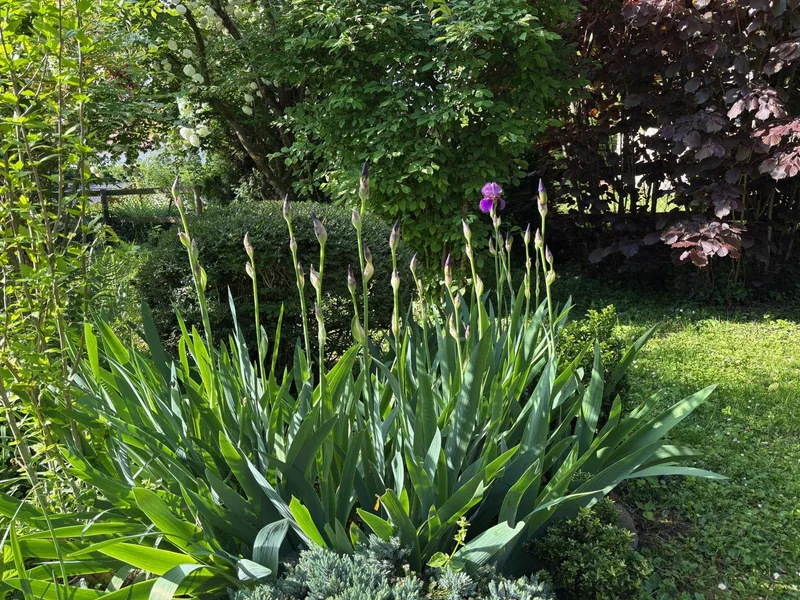Maison / Villa 6.5 pièces à Hautemorges — photo 21