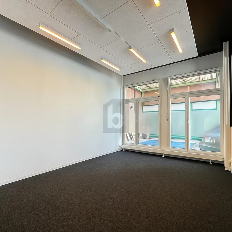 Commercial 5 rooms in Bussigny — 4