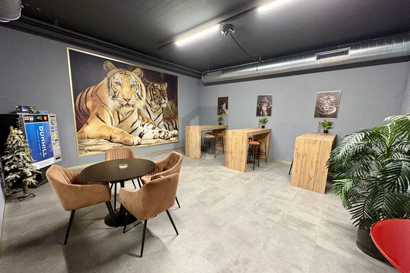 Commercial 6 rooms in Freienbach — 2