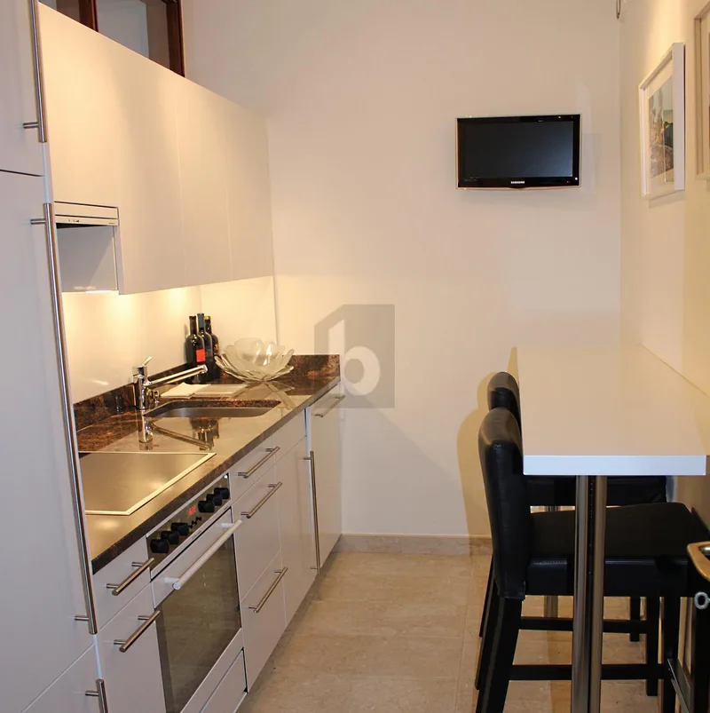 Commercial 2.5 rooms in Paradiso — 4
