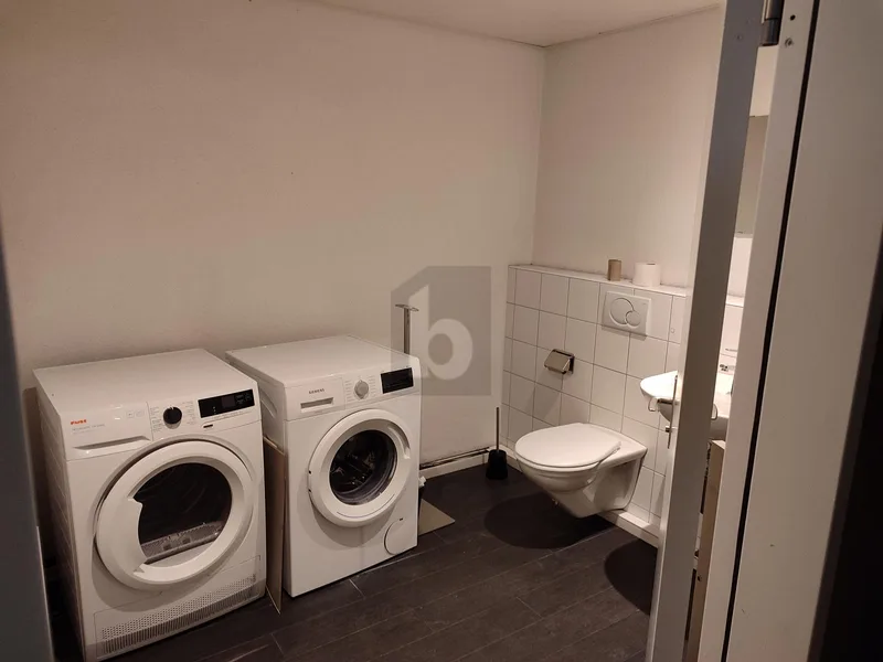 Gewerbe 1 Zimmer in Bümpliz — photo 5