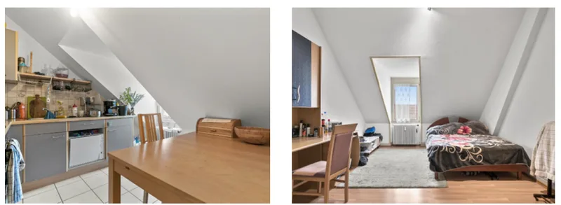 House / Villa 30 rooms in Basel — 9