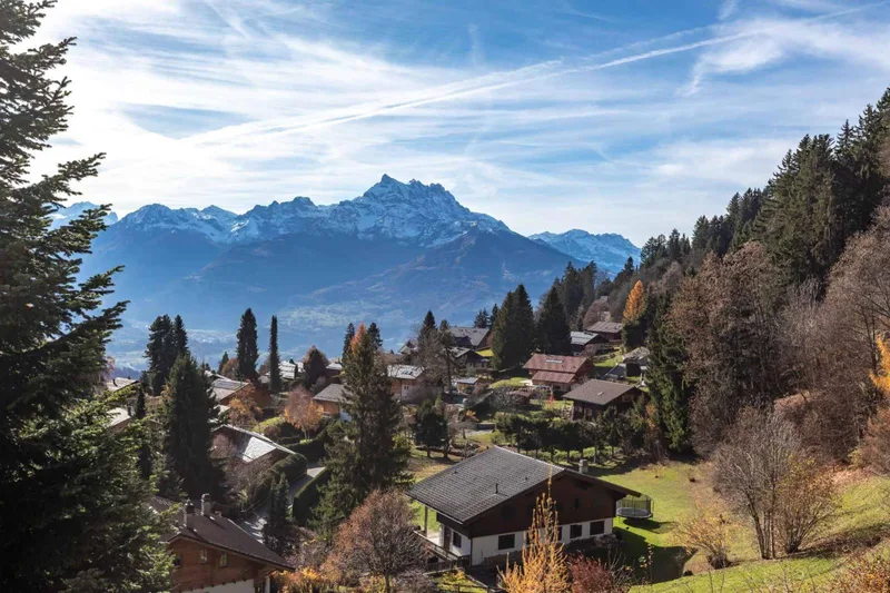 Maison / Villa 9.5 pièces à Chesières — 4