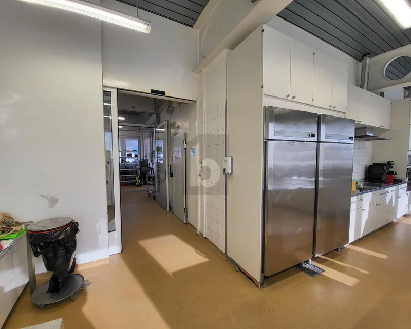 Gewerbe 5 Zimmer in Bursins — photo 2