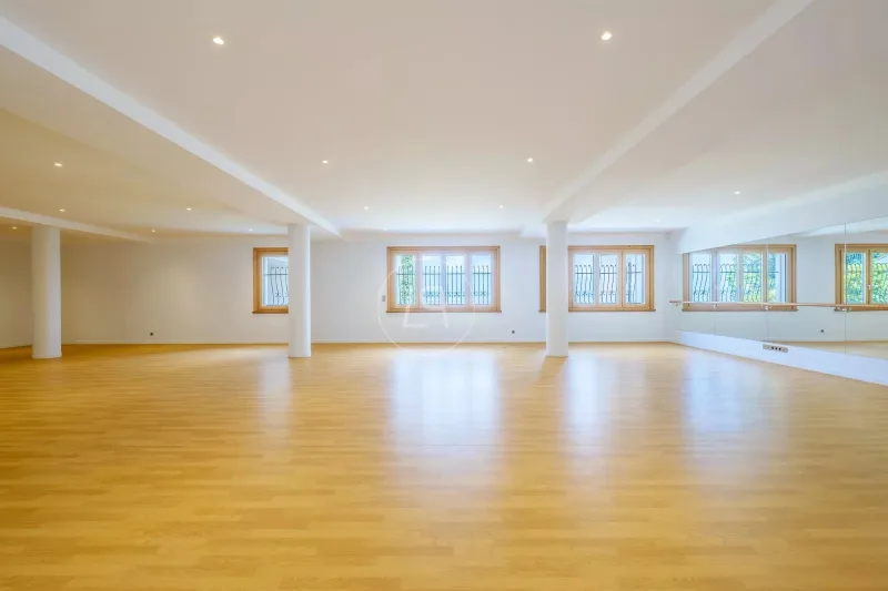 Haus / Villa 18 Zimmer in Chens-sur-Léman — photo 19