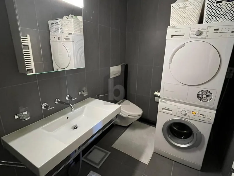 Wohnung 6 Zimmer in Carouge — photo 4