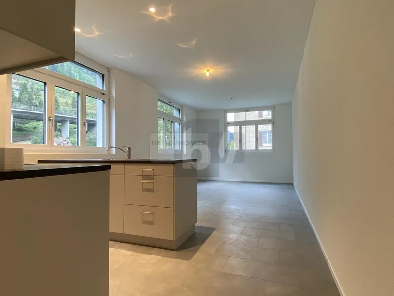 Appartement 2.5 pièces à Gurtnellen — 3