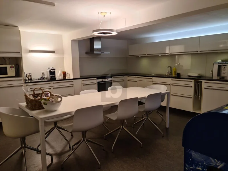 Gewerbe 15 Zimmer in Basel — photo 5