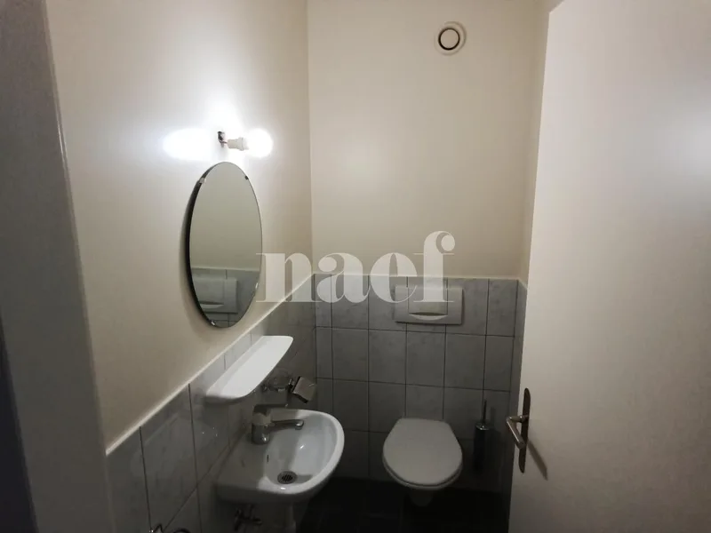 Apartment 5 rooms in Troinex — 9