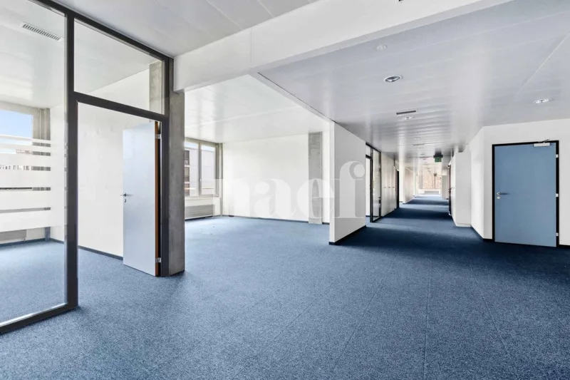 Gewerbe 5 Zimmer in Nyon — 2