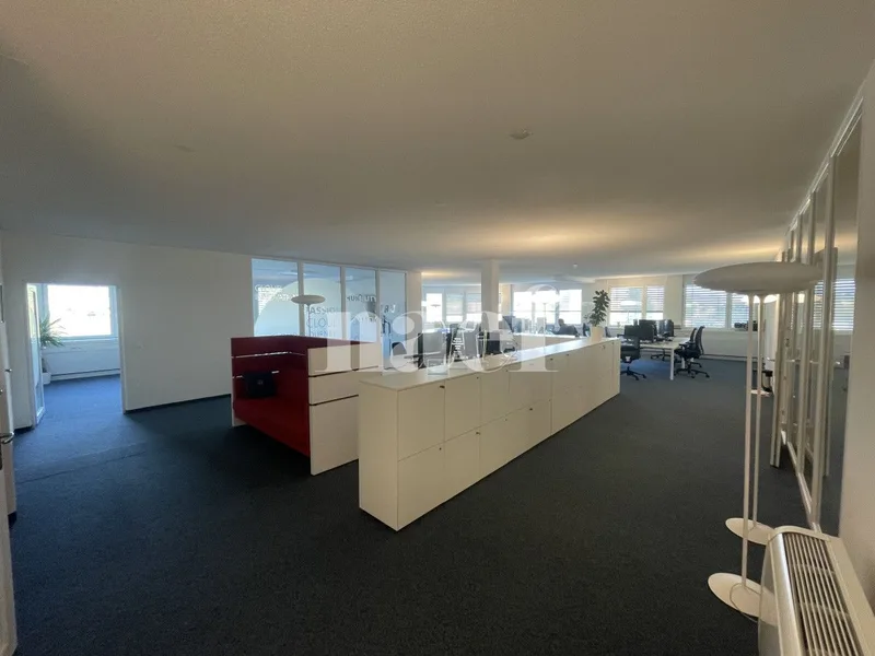 Gewerbe 4 Zimmer in Centre Les Tuillières — photo 3