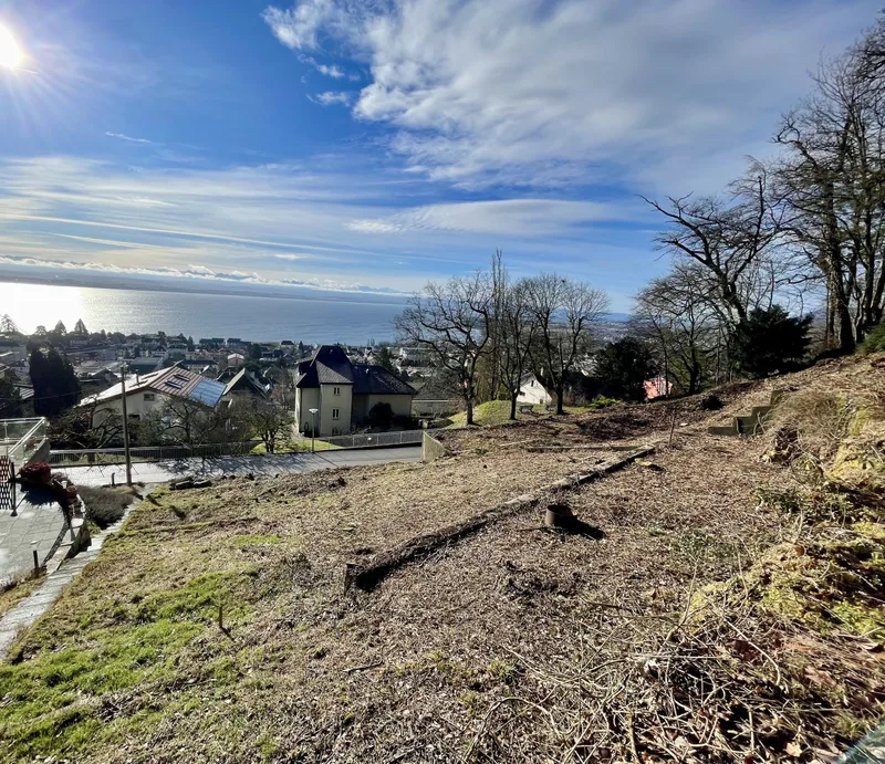 Terrain à Neuchâtel — photo 3