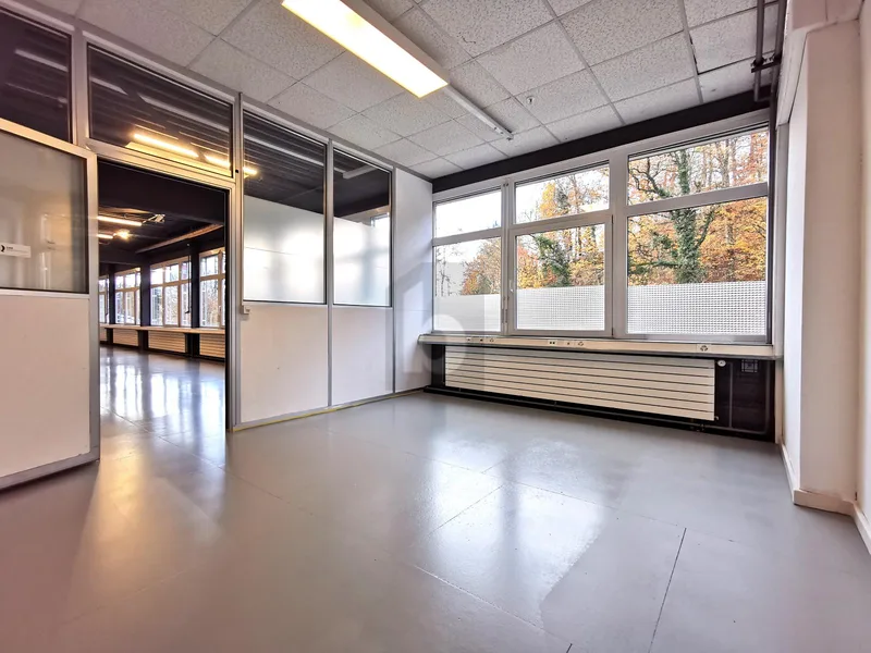 Gewerbe 4 Zimmer in Life-Center Rüti — photo 4
