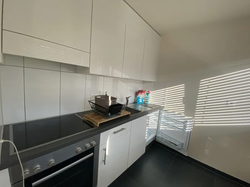 Appartement 1.5 pièces à Publoz — 3