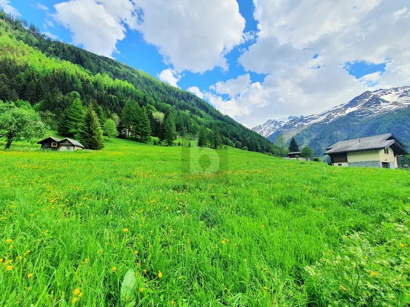Land in Trient