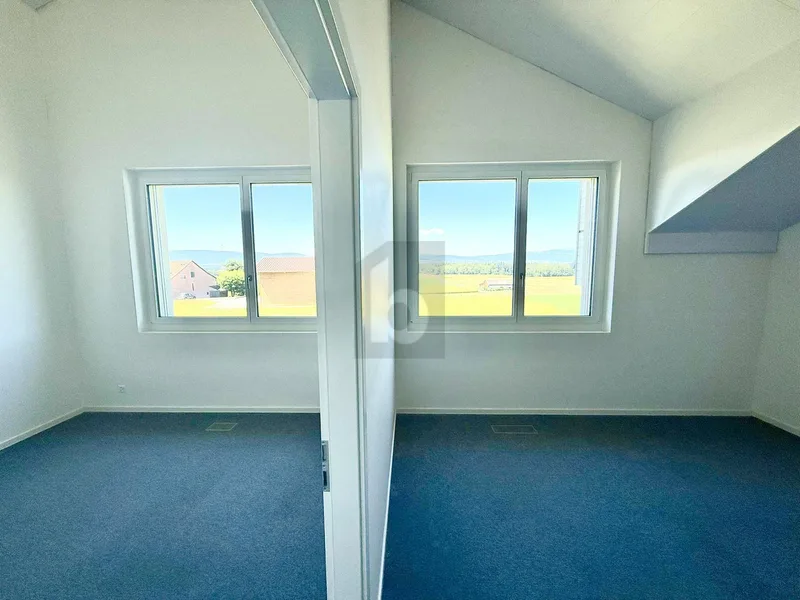 Gewerbe 4 Zimmer in Etagnières