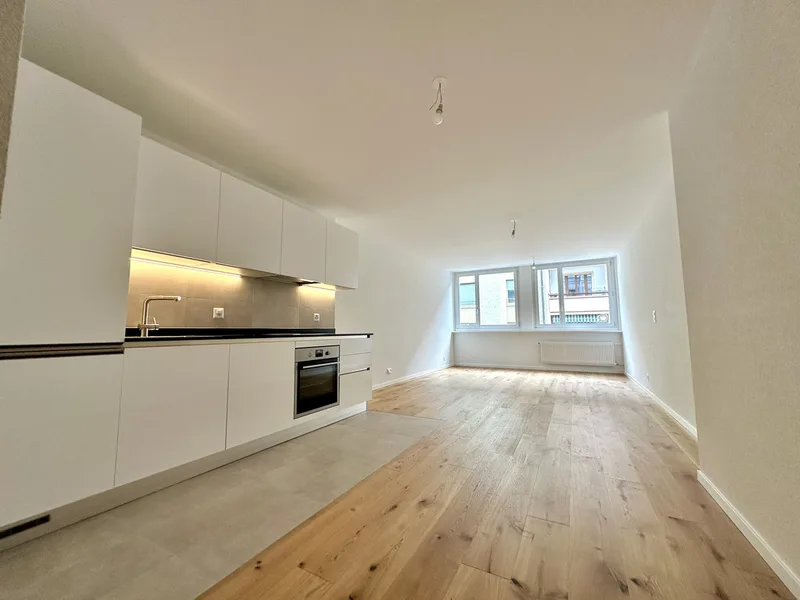 Apartment 1.5 rooms in Eaux-Vives
