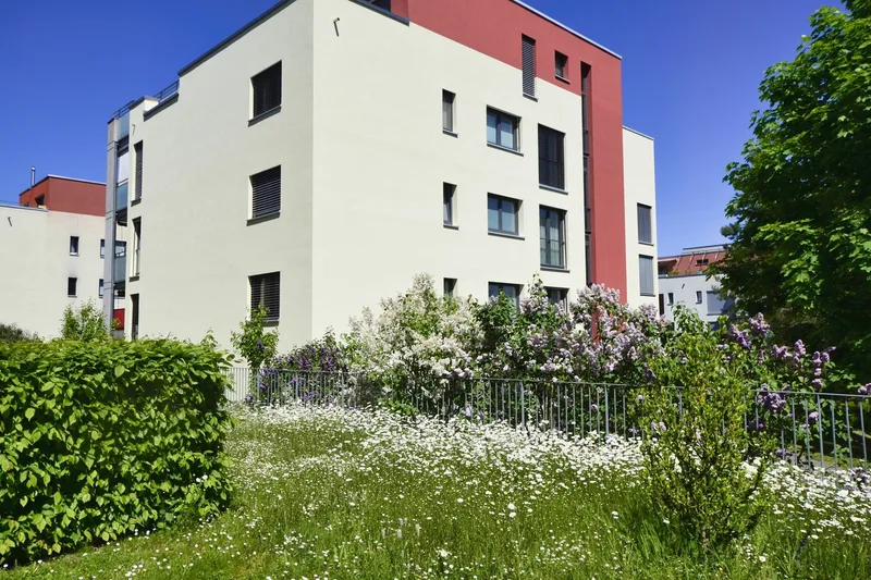 Wohnung 4.5 Zimmer in Zurzach — photo 3