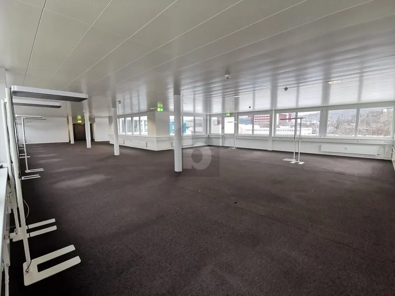 Gewerbe 1 Zimmer in Pratteln