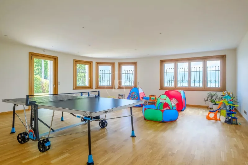 Haus / Villa 18 Zimmer in Chens-sur-Léman — photo 21
