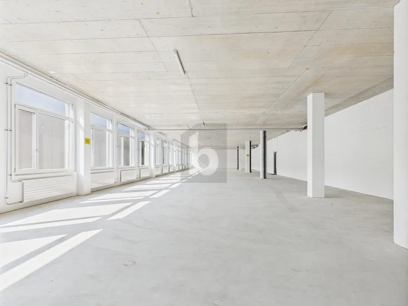 Gewerbe 1 Zimmer in Sarnen — photo 2