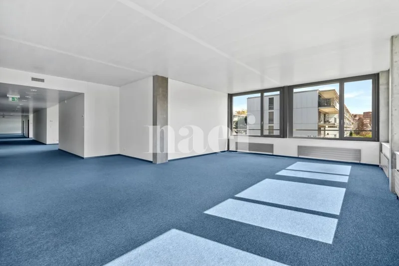 Commercial à Nyon — photo 2