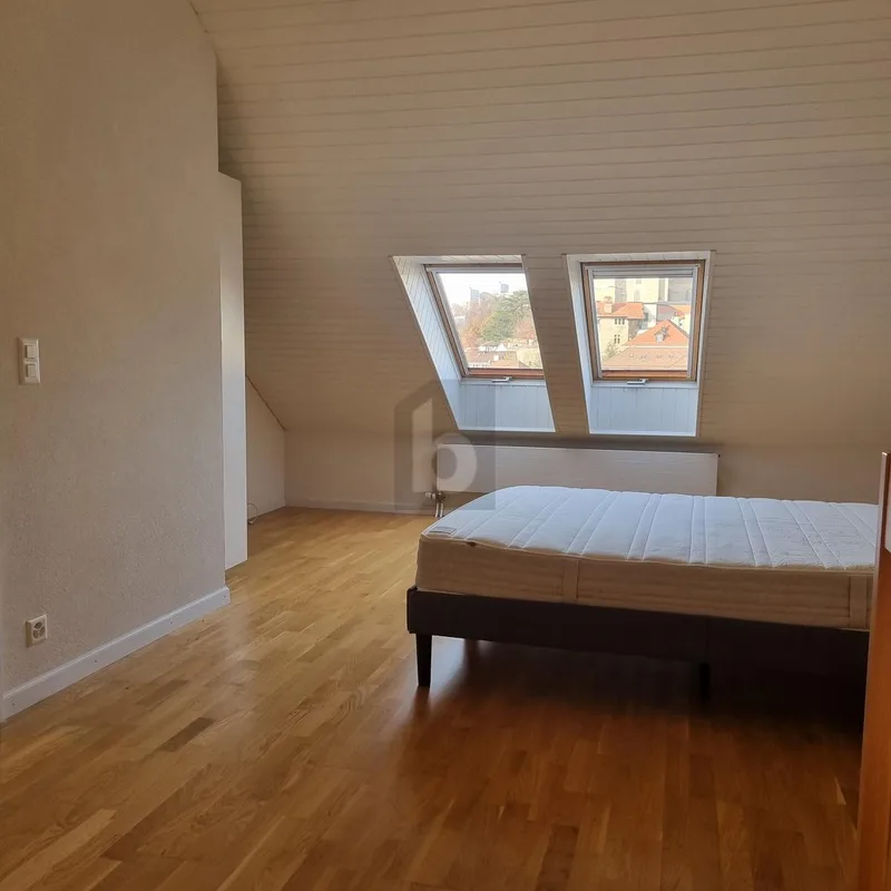 Wohnung 2.5 Zimmer in Zentrum — photo 5
