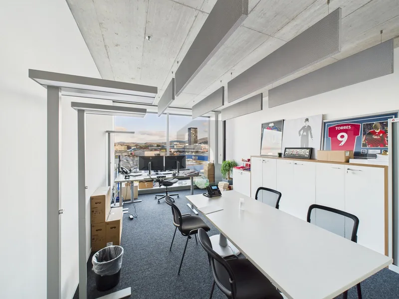 Commercial 1 rooms in Pratteln — 2