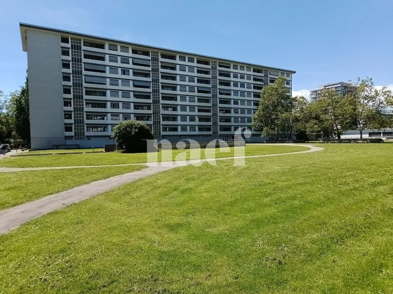 Commercial in Petit-Lancy