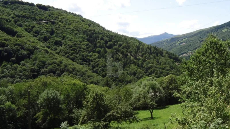 Land in Lugano — 2