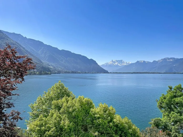 Gewerbe in Montreux — photo 15